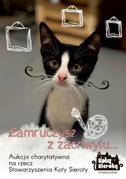 ZAMRUCZYSZ Z ZACHWYTU. Aukcja charytatywna na rzecz Stowarzyszenia Koty Sieroty z Jastrzębia-Zdroju.