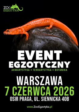 ZooEgzotyka Warszawa