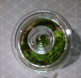 Koło Gospodyń Miejskich - Las w słoiku