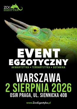ZooEgzotyka Warszawa
