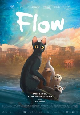 Kino na patio: Flow