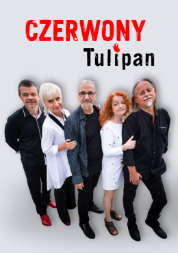 Czerwony Tulipan