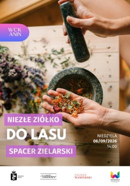 Niezłe Ziółko. Spacer zielarski