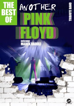 Another Pink Floyd Tribute Band