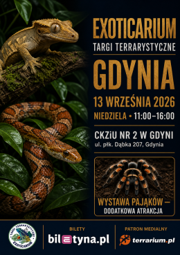 Gdynia - Targi Terrarystyczne Exoticarium + Wystawa Pająków
