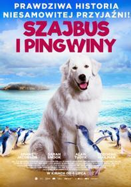 Szajbus i pingwiny
