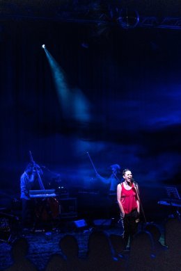 Kobieta, która wpadała na drzwi