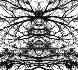 Pod 13-tką: Zwierzę natchnione – koncert