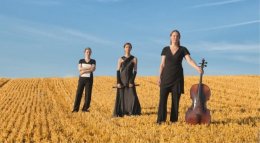 Arcydzieła Muzyki Kameralnej: Trio Laflamme