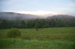 TUTAJ // Zemler, Bukowski, Gubała, Sznajderman