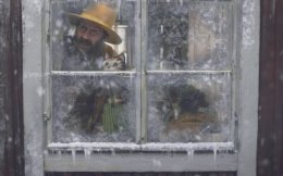 Pettson i Findus – Najlepsza gwiazdka