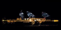 Koncert Finałowy 64. Krakowskich Zaduszek Jazzowych