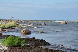 Klub Podróżnika: Kraje bałtyckie – zapiski krajoznawcze z Inflant