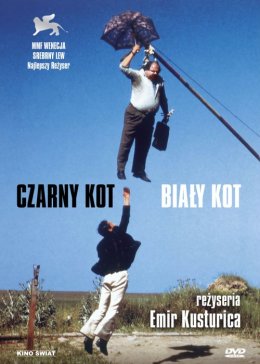 Biały kot, czarny kot