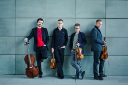 Pteropetros: pióro i kamień