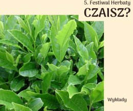 Czaisz 2020 - Piotr Mońka - 10 lat Czajowni Wrocław