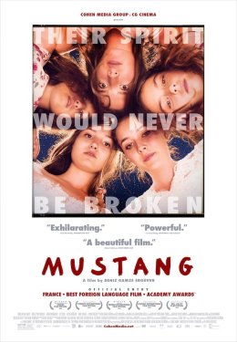 Festiwal Kultury Bez Barier: Mustang