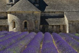 Południowa Francja. Prowansja i nie tylko