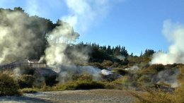 PROGRAM SENIOR – KULTUROMANIA - Nowa Zelandia ,wspaniały kraj Maorysów