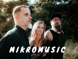Mikromusic acoustic trio