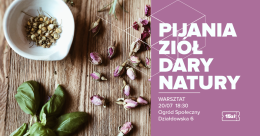 Niezawodny ziołowy relaks: Pijalnia Ziół Dary Natury