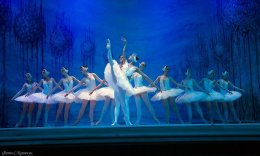 Jezioro Łabędzie - Royal Lviv Ballet