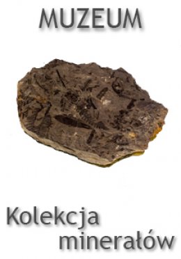 Plakat Kolekcja Minerałów Ziemi Olkuskiej oraz Skamieniałości Jury Krakowsko- Częstochowskiej 101677