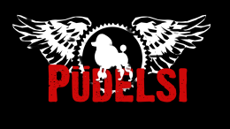 PÜDELSI PSYCHOSYMFONIKO - Püdel in memoriam/35lat