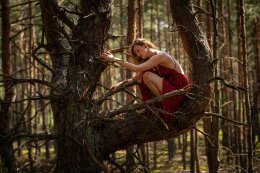 Portret Choreograficzny – Paulina Święcańska i goście