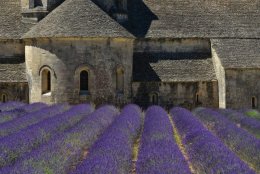 Południowa Francja – Prowansja i nie tylko 5.10