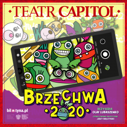 Plakat BRZECHWA 2020 34085