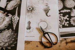 Design w zasięgu rąk. Jak przenieść napis lub zdjęcie na inne podłoża?