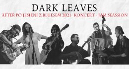 Dark Leaves - After po Jesieni z Bluesem