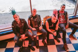 The Casualties, Lion's Law