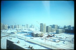 Karol i Mischa Kozłowscy: Franz Schubert – „Podróż zimowa”