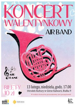 Koncert Walentynkowy Air Band