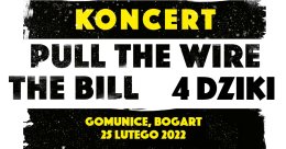 The Bill / Pull The Wire / 4 Dziki