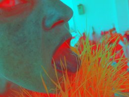 Centrum Sztuki Tańca - Ekspresje 7