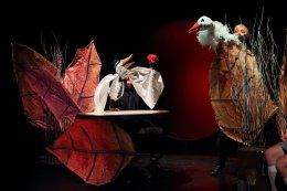 "Brzydkie Kaczątko"