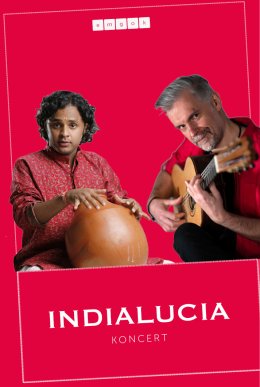 Indialucia koncert Strumień