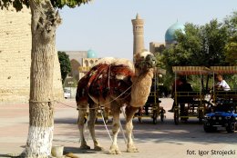 Na jedwabnym szlaku po Uzbekistanie