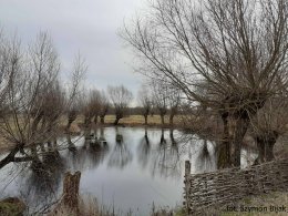 W cieniu wierzb, czyli o mazowieckich Olendrach słów kilka