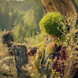 Filmowy poranek dla dzieci: Martin i magiczny las