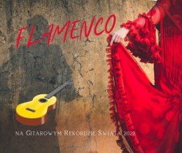 Flamenco Night