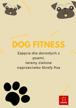 Dog fitness