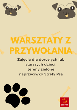 Warsztaty z przywołania