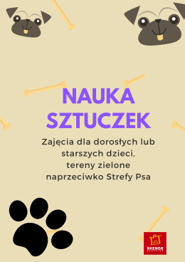 Nauka sztuczek
