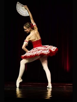 Plakat Gala Baletowa Les Ballets de Pologne 68985