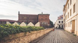 W zaułkach historii (PL)
