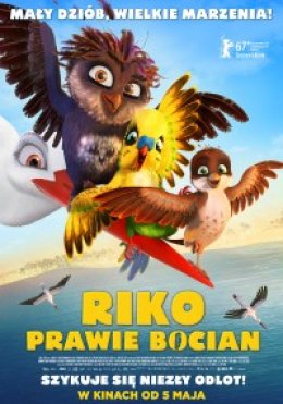 Riko prawie bocian